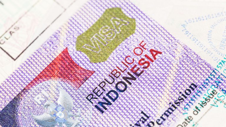 Complete Guide to Visa Application Services in Indonesia: How Devisa Global Services Can Help