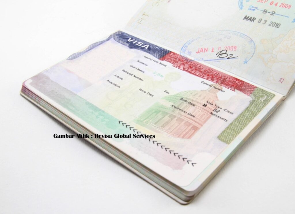 Visa Application Agent